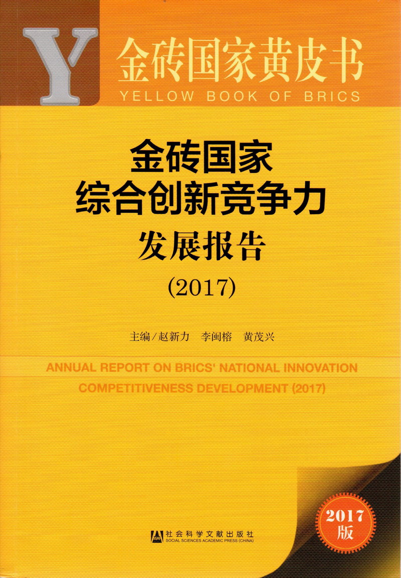 男的拿鸡鸡插进女的逼里的免费软件金砖国家综合创新竞争力发展报告（2017）